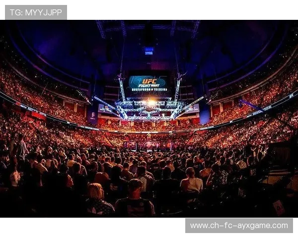 UFC爆头一击结束战斗——震撼瞬间彰显极致格斗魅力