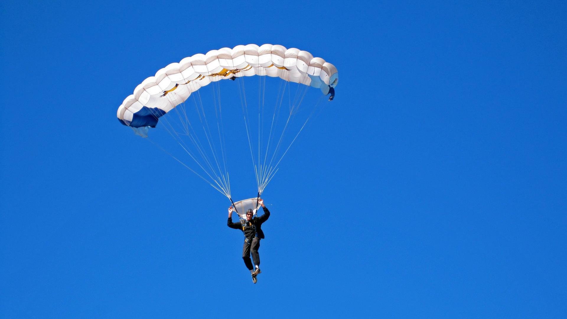 2026体育界最强选手，体育界人气排行榜