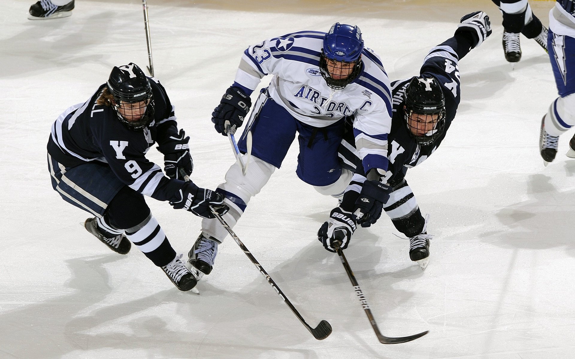 NBA最疯狂暴扣,nba最暴力